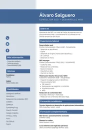 Currículum de Álvaro Salgo, consultor SEO y desarrollador web
